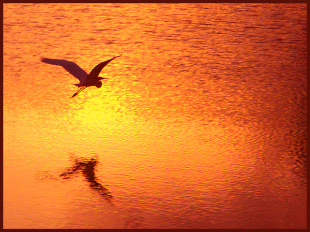 Orange Lake