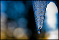 Ice Drop