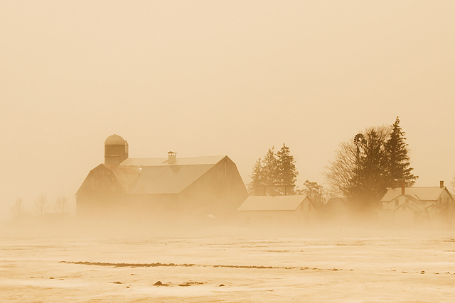 The Fog