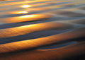 Gold Sand.