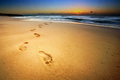 leave only footprints
