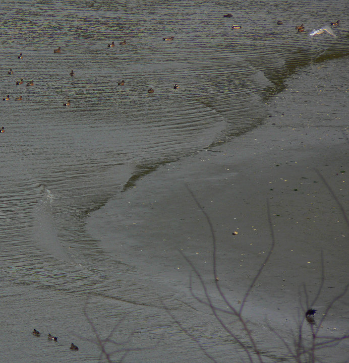 winter tide