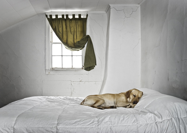 Daydreamer