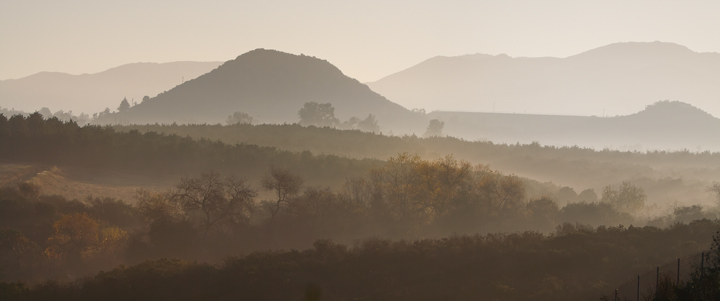 Misty Morning