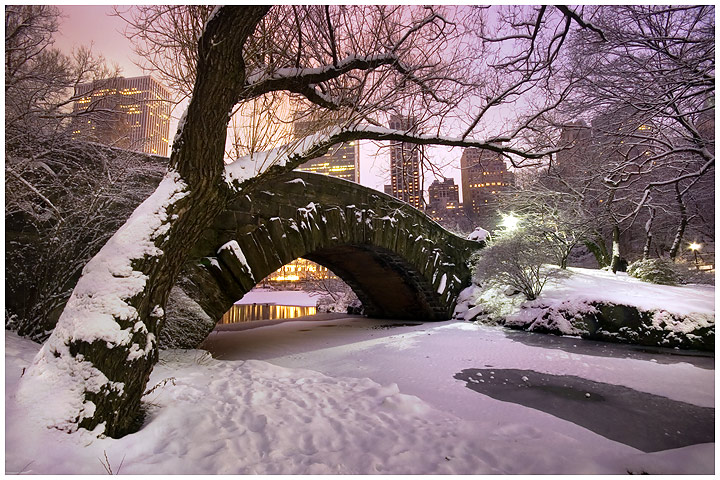 Central Park Dawn