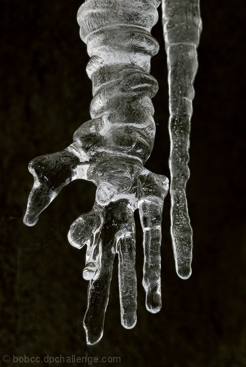 Frozen hand in an icicle 