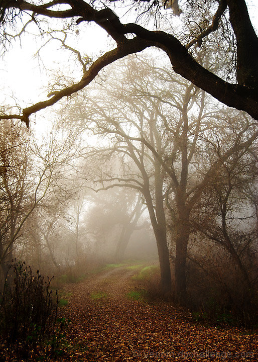 Lonesome Road