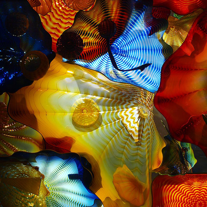 Chihuly Fever