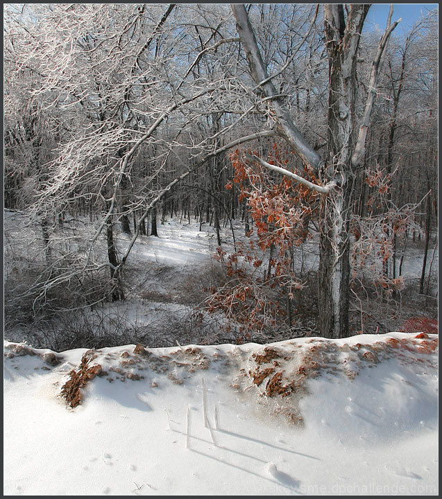 of obelisks and ice