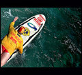 Surf Lifesaver