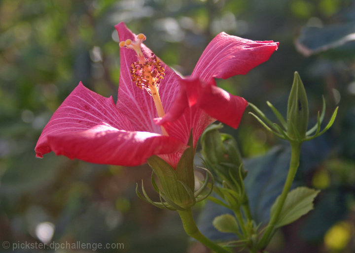 Life blooms all around us