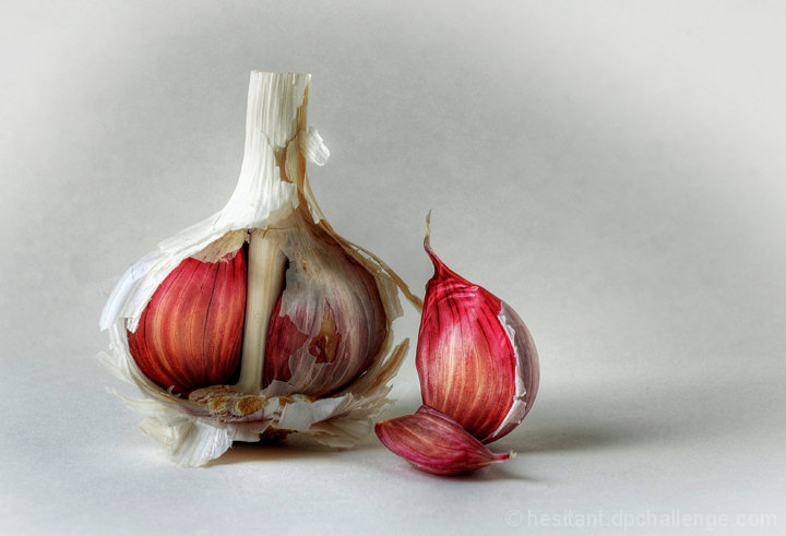 Garlic  -  Today's Ubiquitous Ingredient