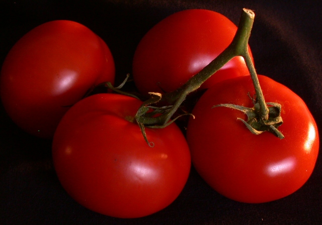 Tomato On The Vine