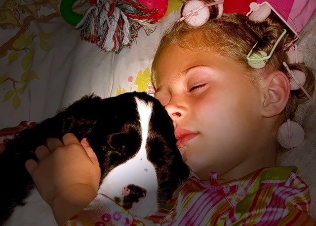 " SIMPLE SWEETNESS SLEEPS "