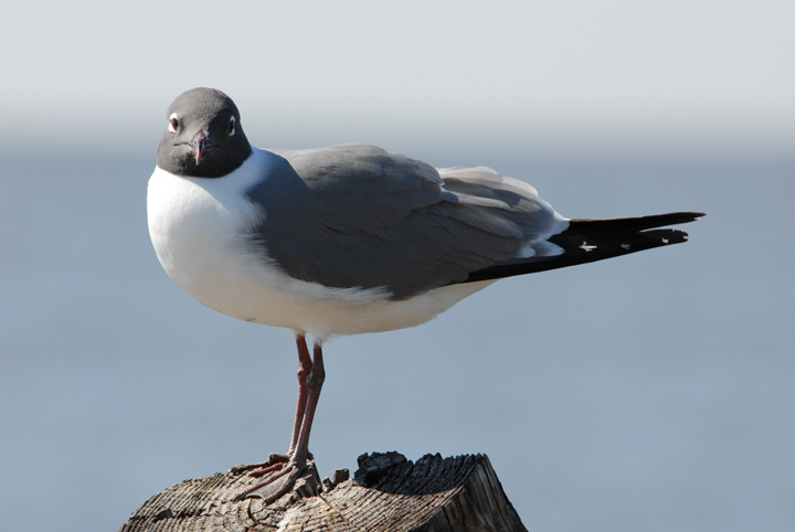 Are you looking at me?