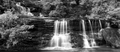 Cascades