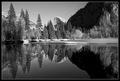 Reflections