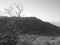 Ansel Adams entry