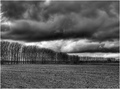 Field of corn stubble under threatening skies