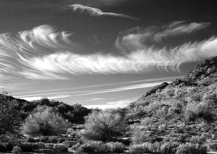 Sonoran Desert