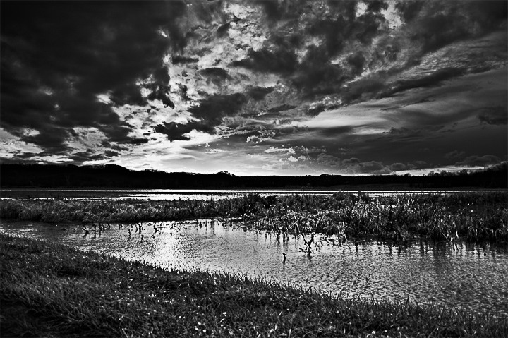 Marsh at Sunset