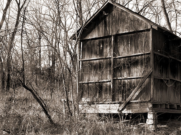 Moonshiner's Lodge