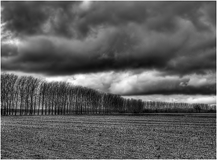 Field of corn stubble under threatening skies