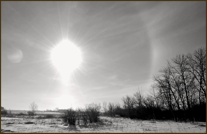 Sun Dog