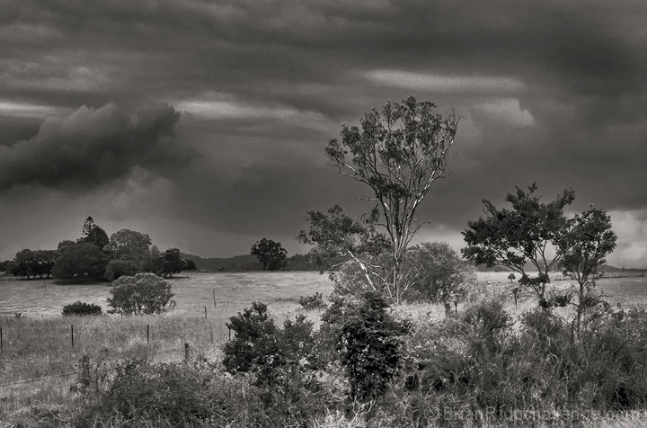 A Storm in the Hills