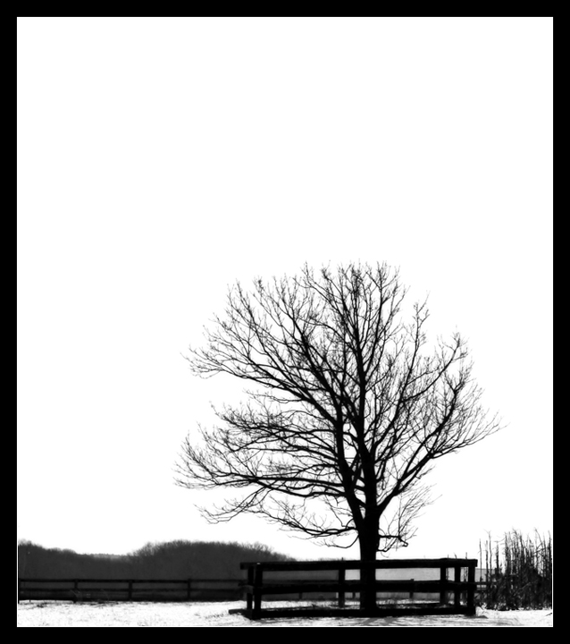 Isolated