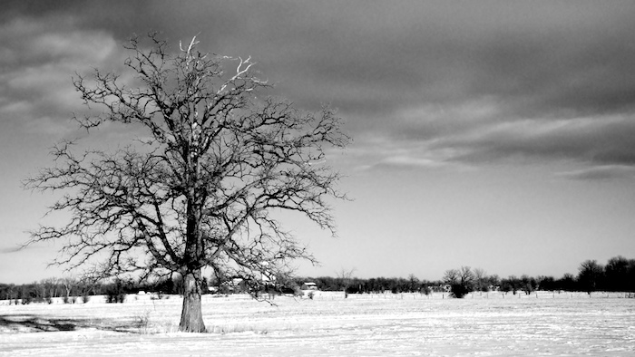 Solitude