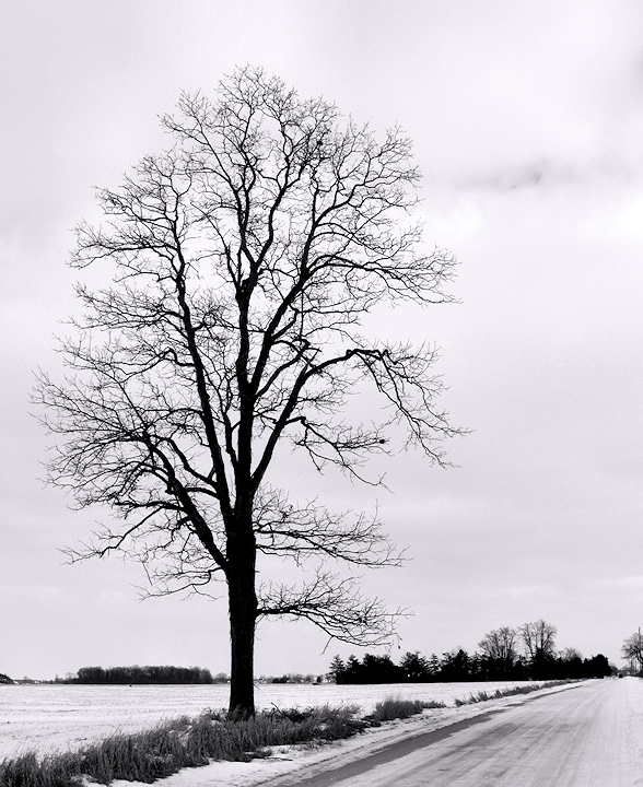 Landmark