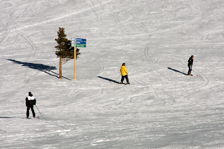 The ski patrol calls this location "lone tree"