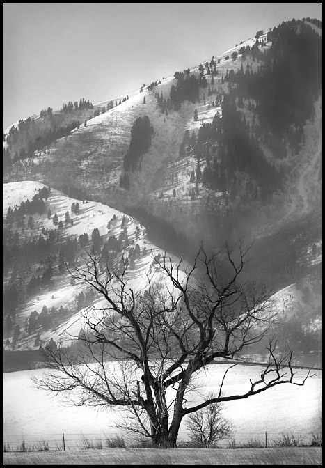 Mountain's Guardian