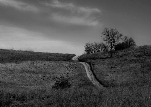 The Winding Road