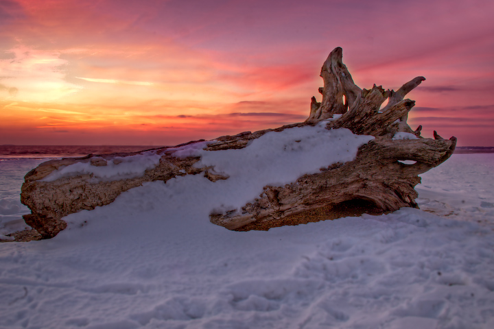 Driftwood