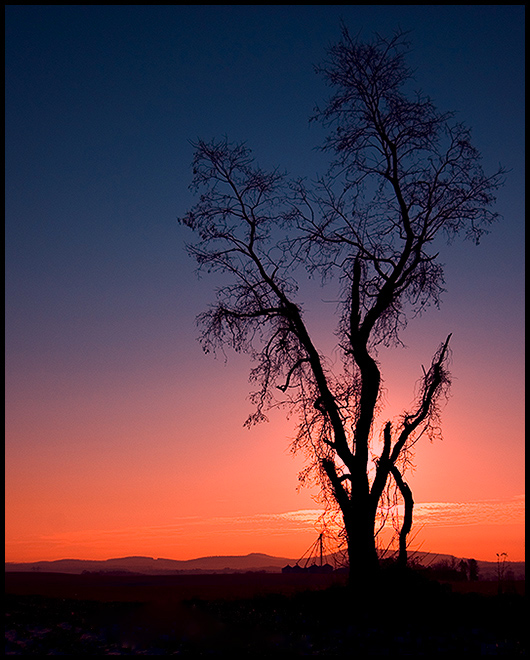 Atop the Knoll...