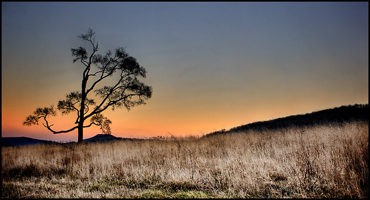 At Dusk