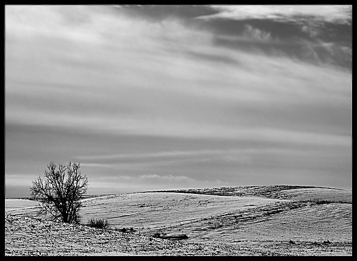 Alone in the  Snow