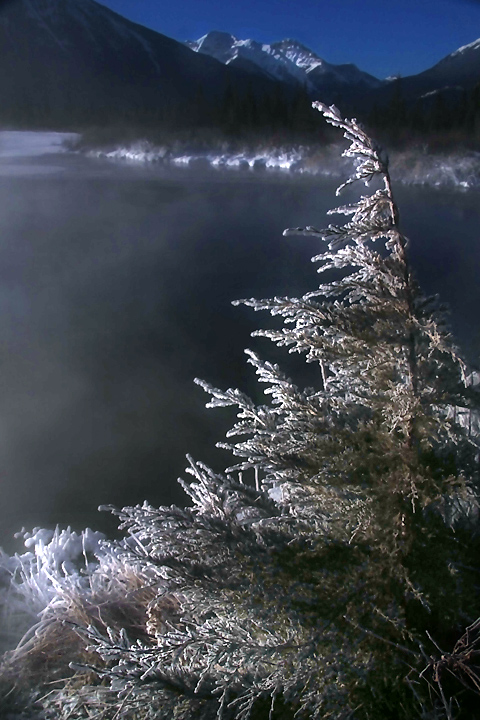 Morning Frost