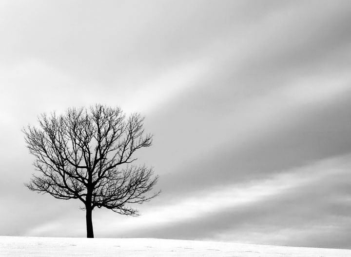 Winter Solitude