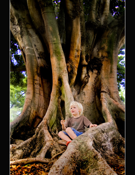 Boys and Trees