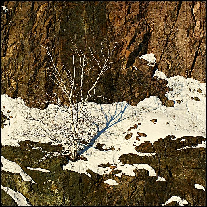 Cliff Dweller