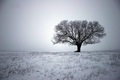 Alone