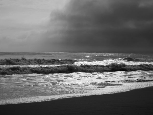Silence of a Gray Morning