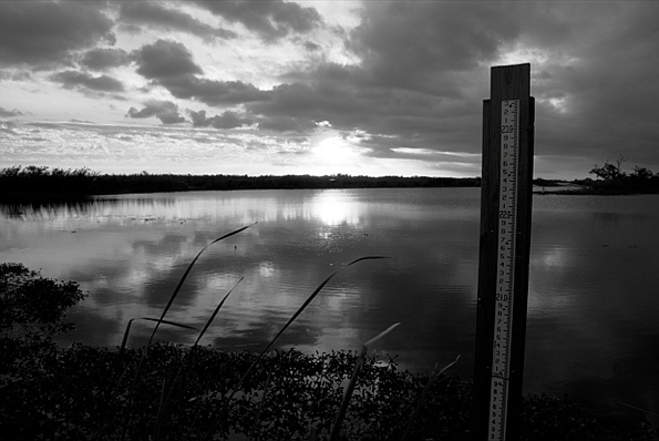 Measure the silence... (Florida Everglades)