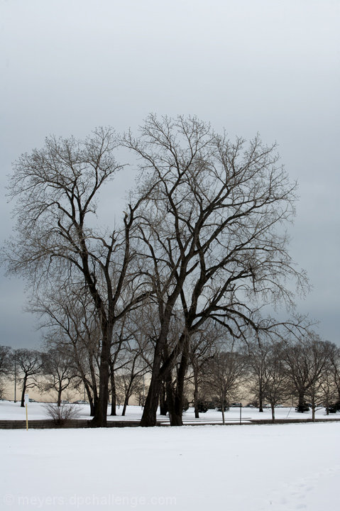 dismal winter skies