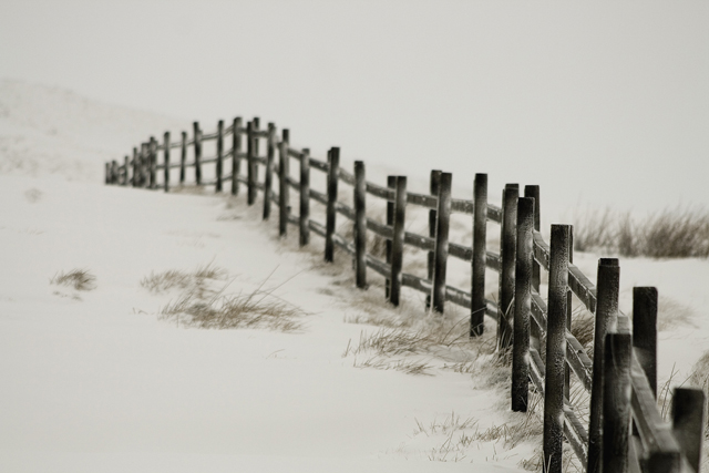 Beginning of a Cold Walk