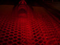 devil
