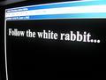 Neo, Follow the white rabbit...